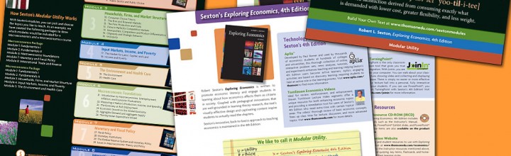 Economics Textbook Promotional Brochure